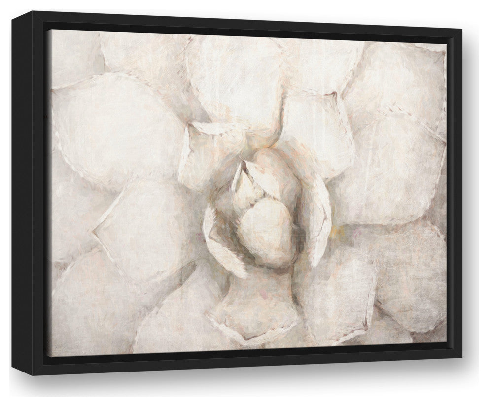 Choppy Painted Succulent 16x20 Black Floating Framed Canvas