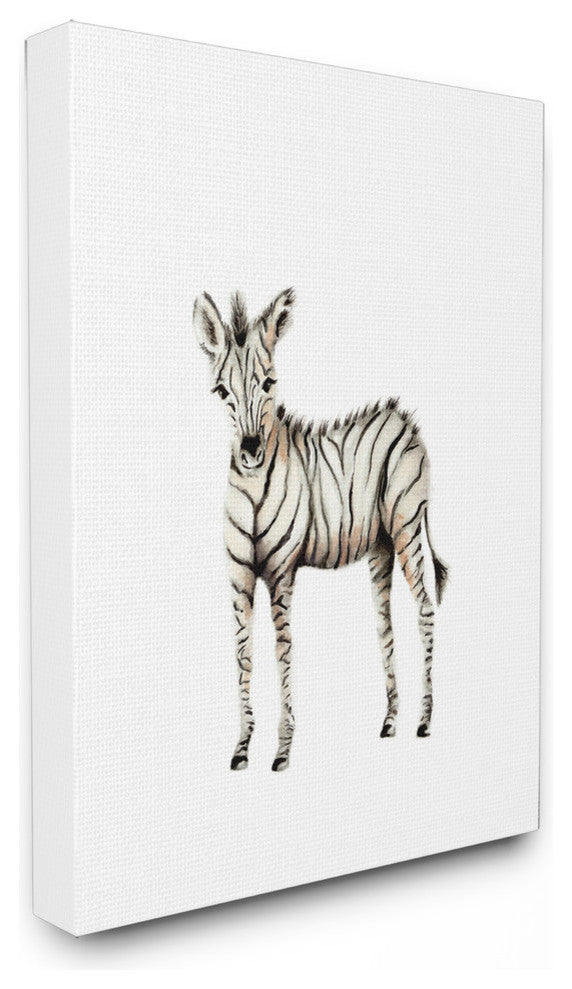 "Baby Zebra" 30x40, XXL Stretched Canvas Wall Art