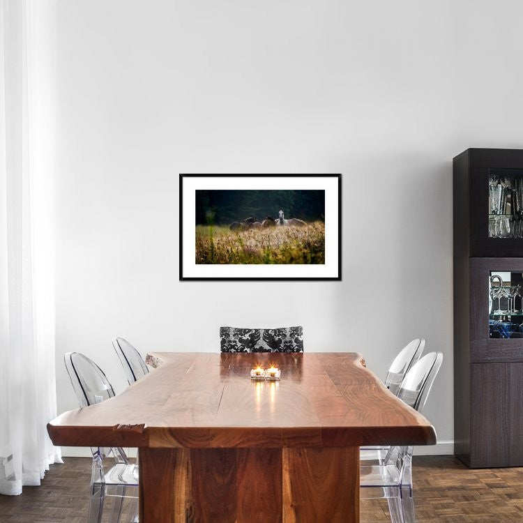 "Our Garden" Framed Digital Print by Milan Malovrh, 38x25"