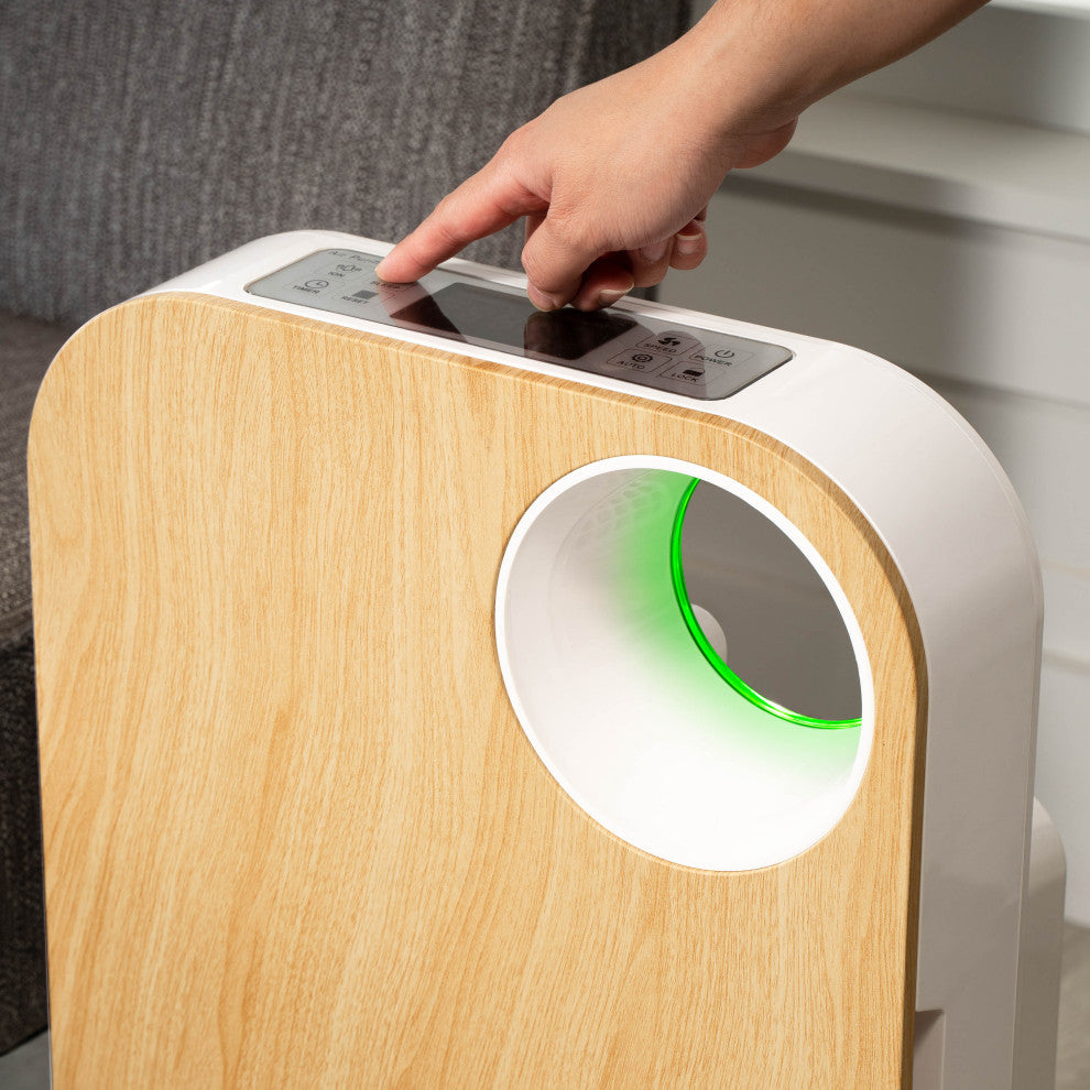 OVAL AIR 3-Stage H13 True HEPA 5-in-1 Air Purifier for Rooms up to 600 sq. ft.