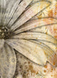 "Softly in the Wind, Six" Canvas, 32"x44"