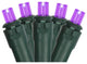 Purple LED Wide Angle Christmas Lights -Green Wire