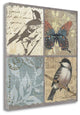 "Bird 4 Patch II" By Anita Phillips, Giclee Print on Gallery Wrap Canvas