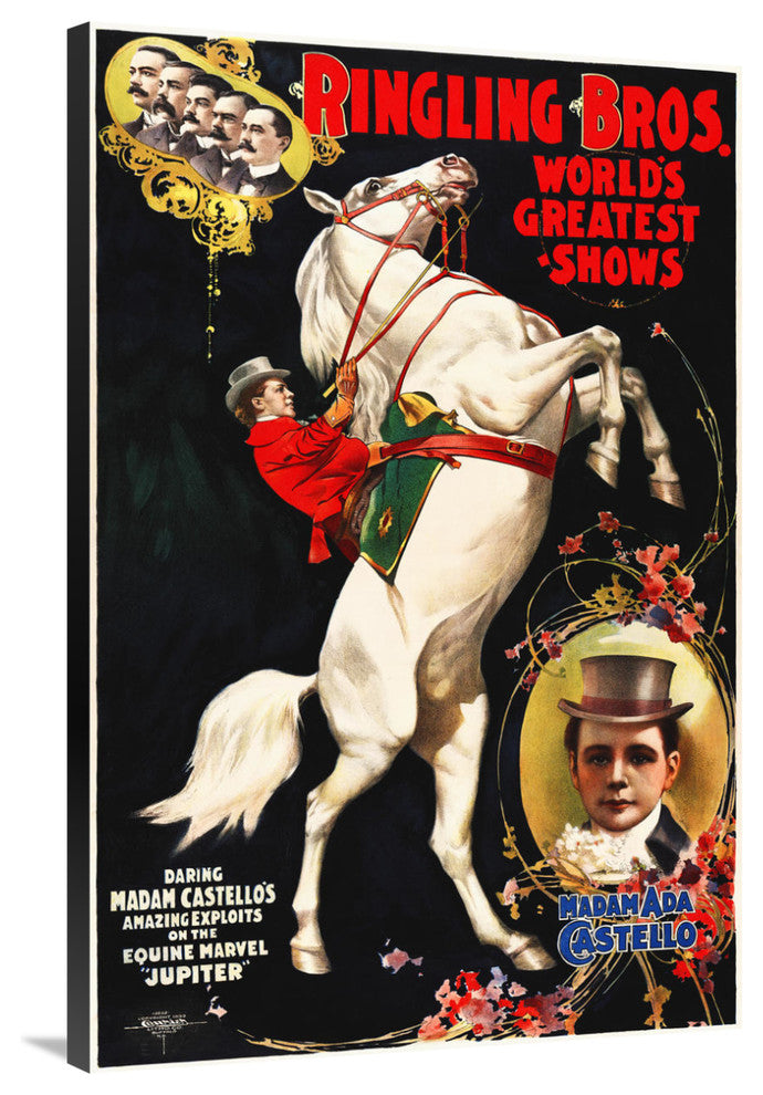Madam Ada Castello And Jupiter, Poster For Ringling Brothers, Ca,  1899, 26x40