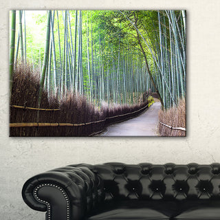 "Kyoto Bamboo Forest Pathway" Forest Canvas Wall Art Print, 40"x20"