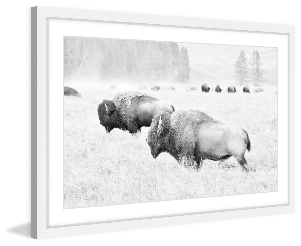 Marmont Hill, "Buffalos Two" Framed Painting Print, 18x12