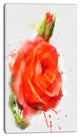 Red Hand drawn Rose Sketch, Floral Canvas Art Print, 16"x32"