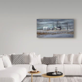 "Winter Gray" by John Morrow, Canvas Art, 24"x12"