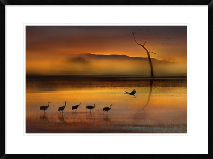 "We Are Here Waiting For You" Framed Digital Print by Shenshen Dou, 32x24"