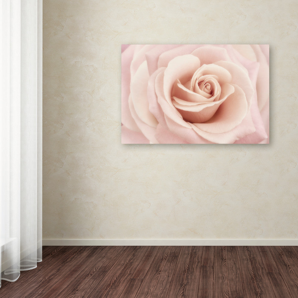 Cora Niele 'Peach Pink Rose' Canvas Art