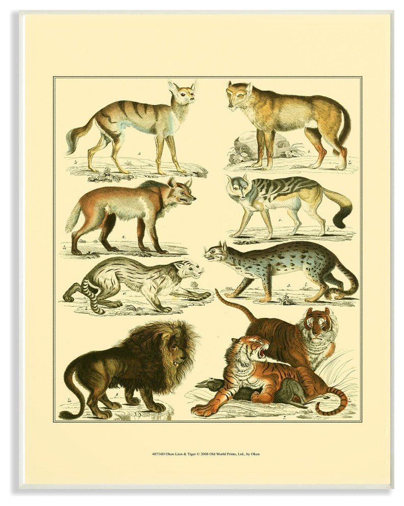 Big Cats Wildlife Illustration Wall Plaque Art, 10"x15"