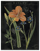 "Vintage Flora II" Digital Paper Print by Sue Schlabach, 18"x22"