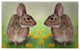 Betsy Drake Rabbits Door Mat 30x50