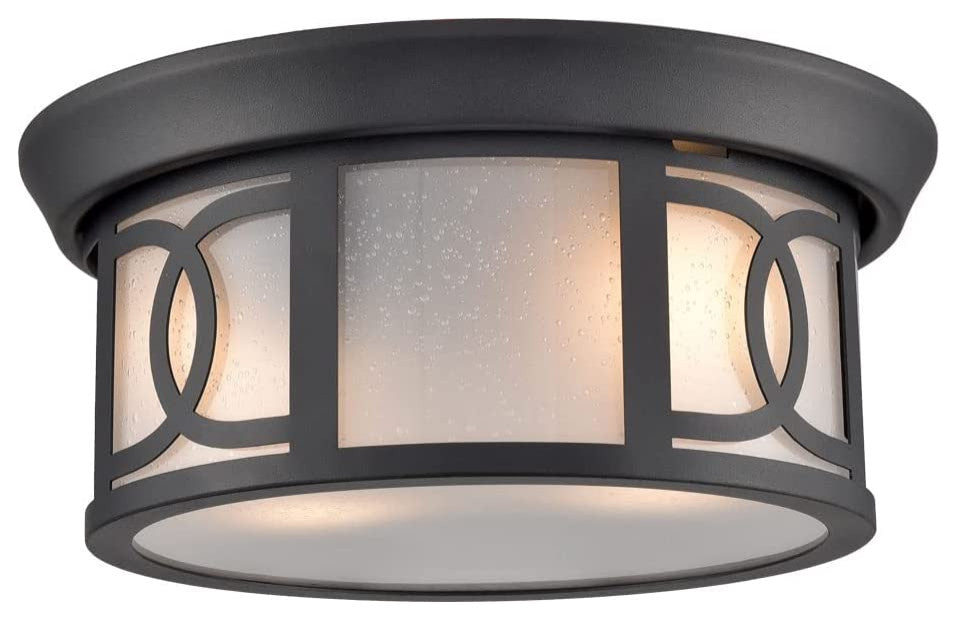 2 Light Ceiling Light Fixture, Industrial, Matte Black Flush Mount