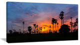 Sugar Palm Tree Silhouette, Landscape Canvas Art Print, 32"x16"