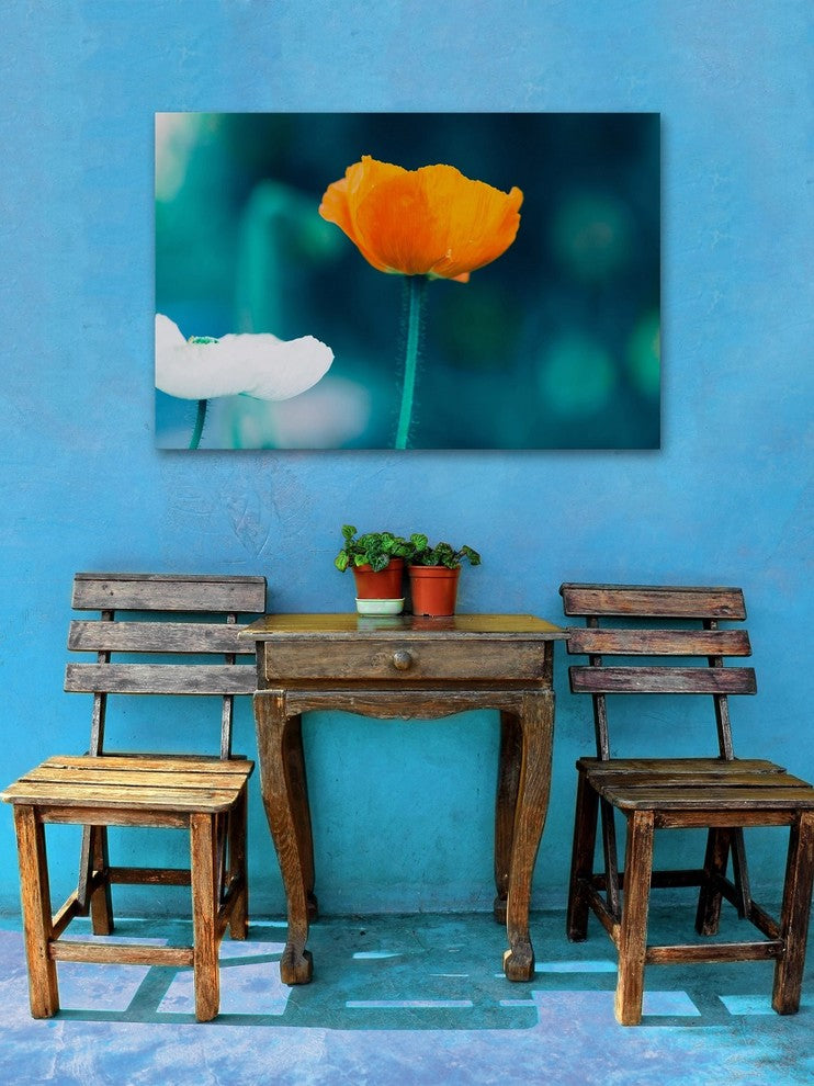 "Pop of Color" Painting Print on Wrapped Canvas