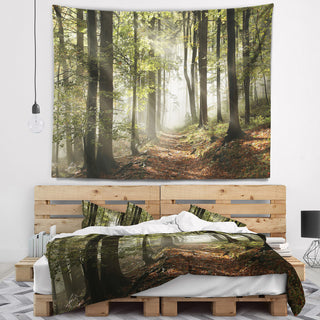 Green Fall Forest with Sun Rays Landscape Photography Wall Tapestry, 60"x50"