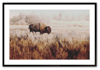 Satin Black 12" x 16" Lone Ranger Framed Print