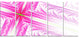 Pink Fractal Cross Design, Abstract Canvas Art Print, 60"x28", 5 Panels