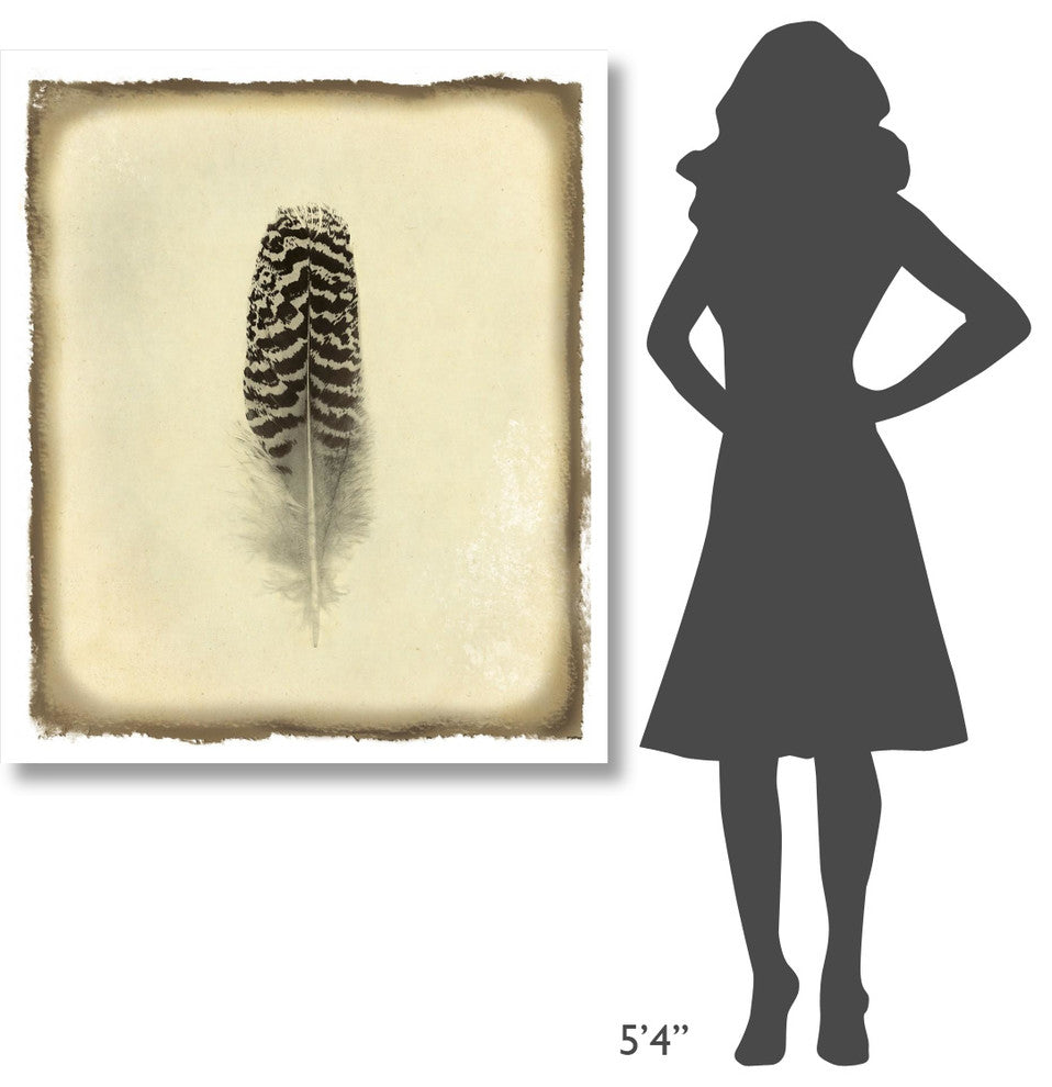 "Feather I Vintage" Digital Paper Print by Debra Van Swearingen, 39"x46"