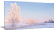 "White Crystal Tree And Landscape" Landscape Print Wall Art, 32"x16"