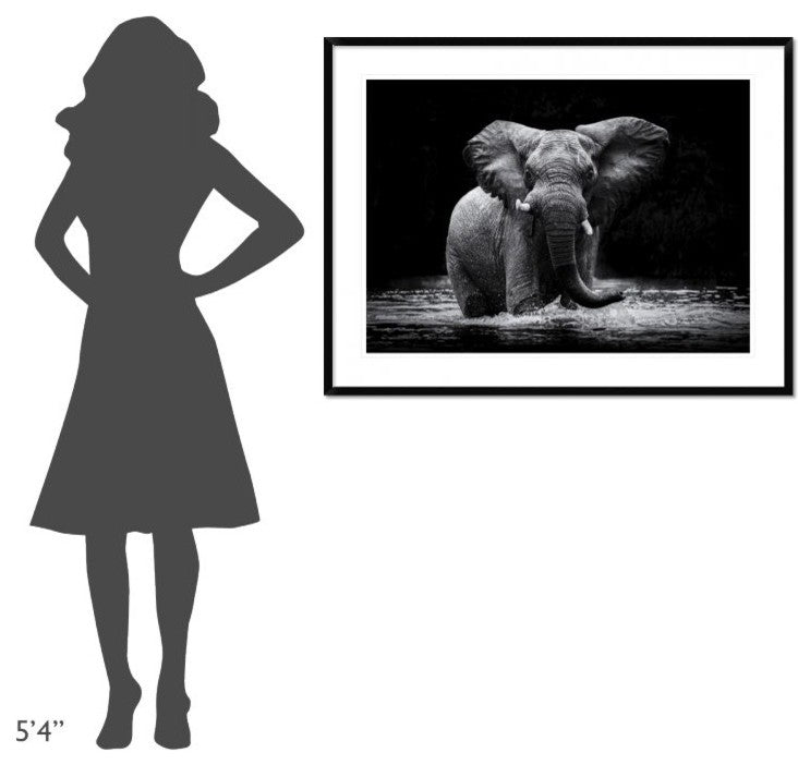 "Power 1" Framed Digital Print by Gorazd Golob, 44x33"