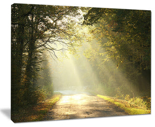 "Bright Sunbeams to Fall Forest" Canvas Print