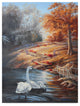 "Swans" by D. Rusty Rust, Canvas Art