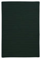 Simply Home Solid H109 Dark Green Indoor/Outdoor Area Rug, Rectangular 7'x9'