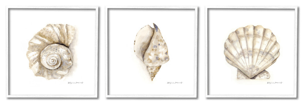 Soft White Patterned Seashells Nautical Natural Neutrals,3pc, each 12 x 12