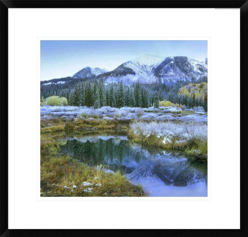 "Pond and Avery Peak, San Juan Mountains, Colorado"  by Tim Fitzharris, 24x23"