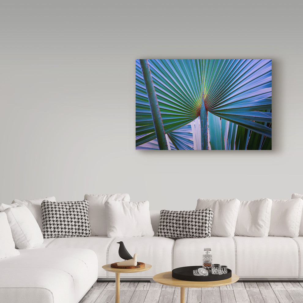 "Abstract Art Palm Leaf" by Anthony Paladino, Canvas Art