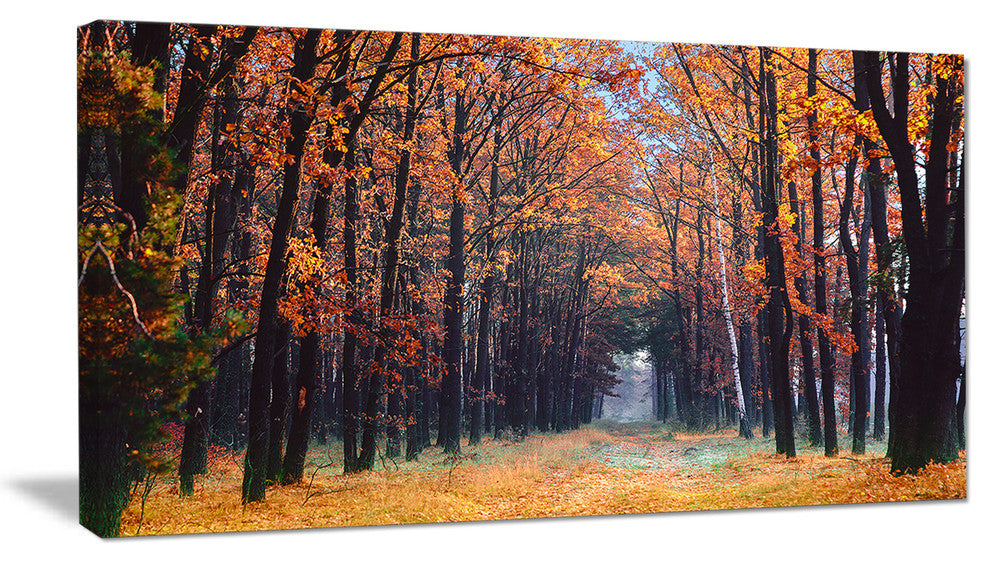 Alley in the Dense Autumn Forest, Forest Canvas Art Print, 32"x16"