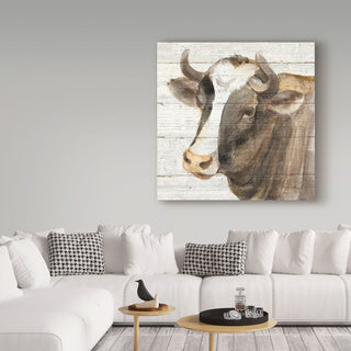 Albena Hristova 'Looking At You Ii Shiplap' Canvas Art, 14"x14"