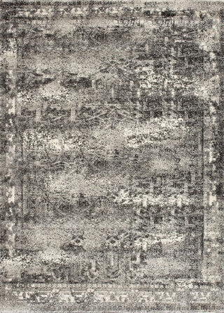 Viera VR-03 Ash Area Rug, 5'3"x7'7"