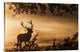 "Untitled" Stretched Canvas Giclee by Radojica Jevric Fotorax, 30"x20"