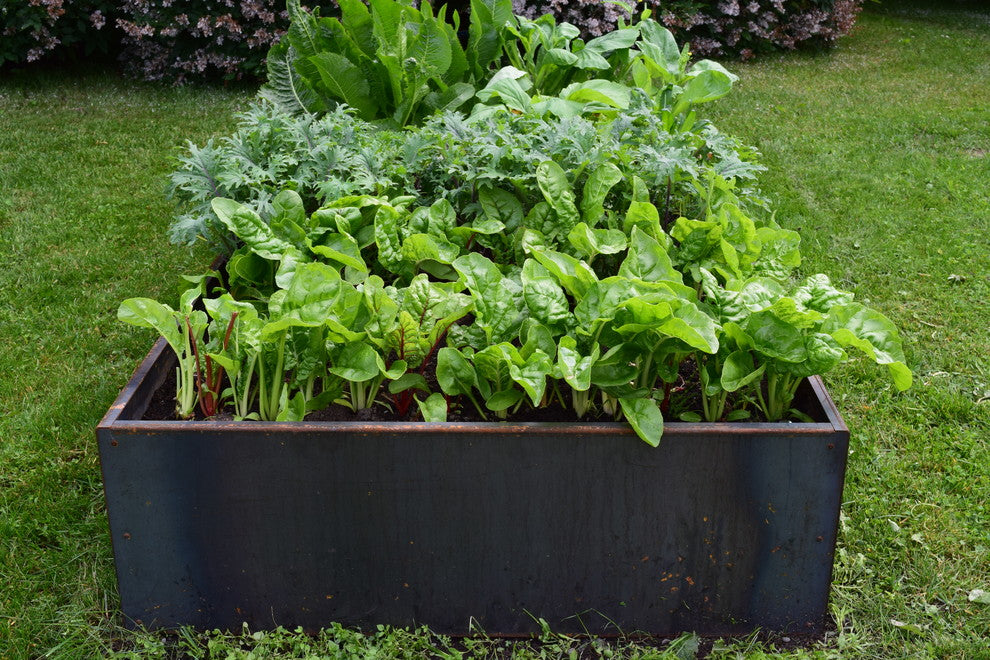 Nice Corten Steel Planter Bed 48", Steel, 48"x96"x16"h