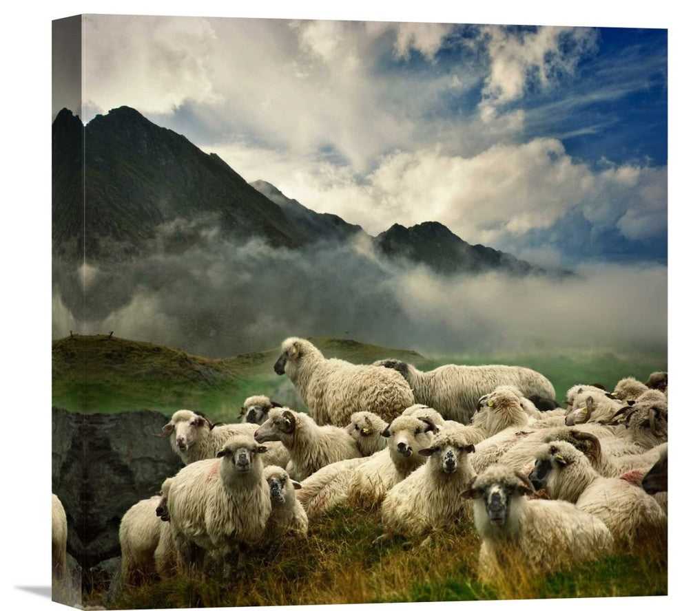 "The Silence Of The Lambs" Stretched Canvas Giclee by Istvan Kadar, 16"x16"