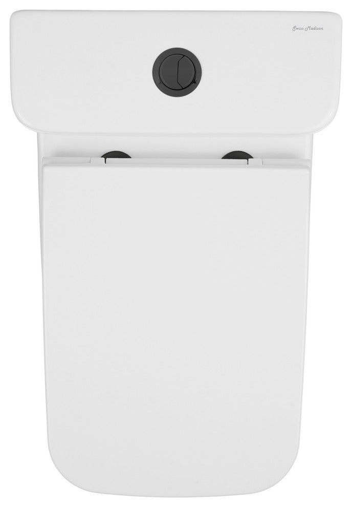 Carre 1-Piece Square Toilet Dual Flush, Black Hardware