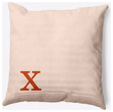 18" x 18" Modern Monogram Indoor/Outdoor Polyester Throw Pillow, Sienna