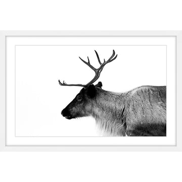 Marmont Hill, "Antler Profile" Framed Painting Print, 18x12