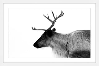 Marmont Hill, "Antler Profile" Framed Painting Print, 18x12