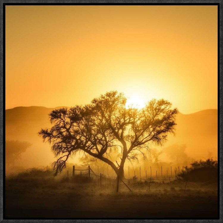 "Golden Sunrise" Framed Canvas Giclee by Piet Flour, 17x17"
