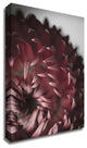 Dahlia by Design Fabrikken, Print on Canvas, 20"x28"