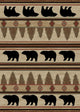 Appalachian Rug, 5''3"x7''3"