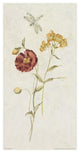"Wild Wallflowers IV" Digital Paper Print by Cheri Blum, 32"x62"