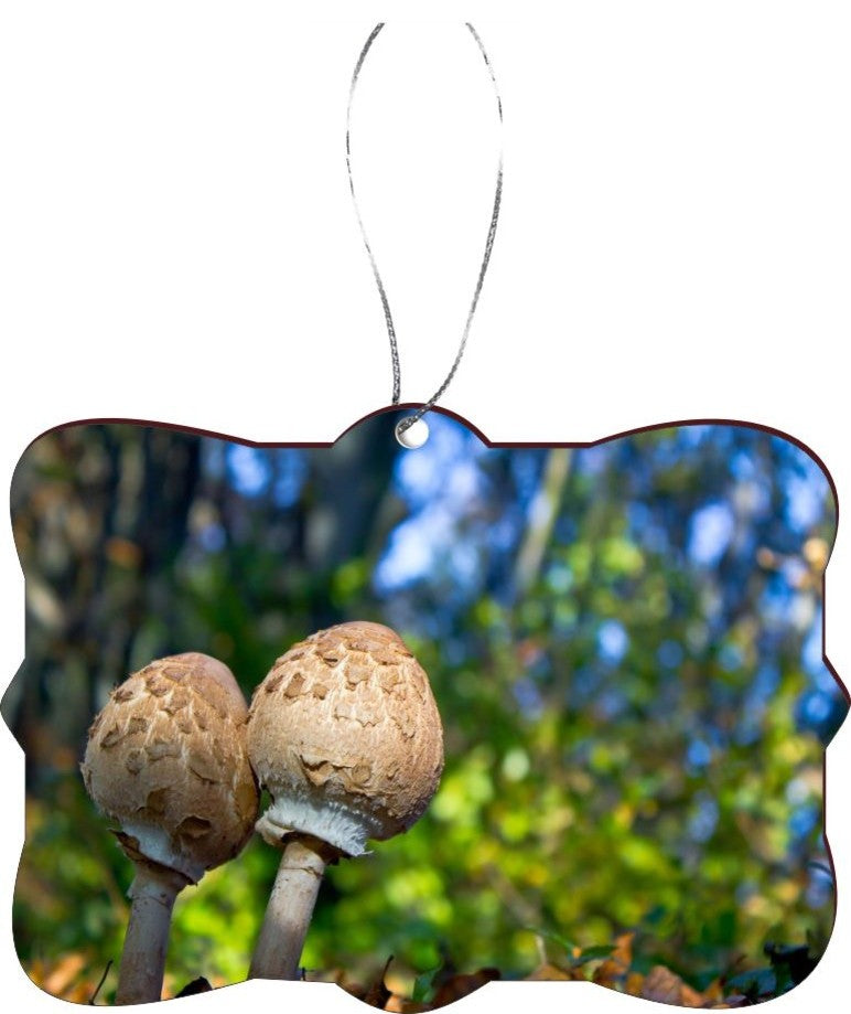 Pair Of Parasol Mushrooms Design Rectangle Christmas Tree Ornament