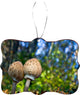 Pair Of Parasol Mushrooms Design Rectangle Christmas Tree Ornament
