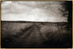 54x36 Path V, Framed Artwork, Gold