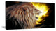"Lion With Fire" Animal Digital Canvas Print, 32"x16"